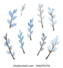 Watercolor Illustration Nine Twigs Pussy Willow Stock Illustration