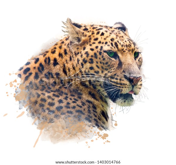 Watercolor Portrait Leopard On White Background Stock Illustration