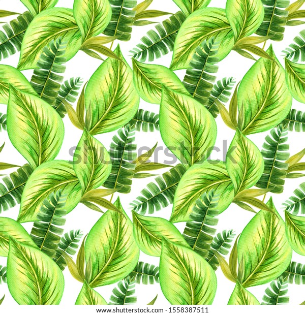 Watercolor Tropical Leaves Seamless Pattern Can Stock Illustration