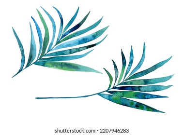 Watercolor Tropical Palm Leaves Illustration Isolated Stock