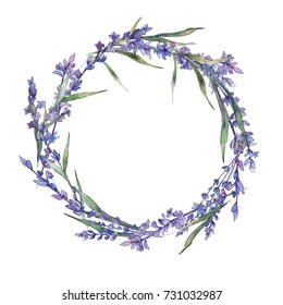 Wildflower Lavender Flower Wreath Watercolor Style Stock Illustration