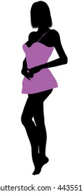 Woman Lingerie Illustration Silhouette On White Stock Illustration