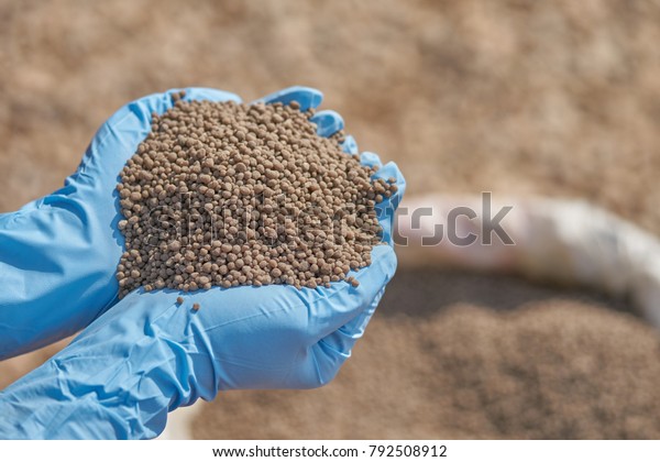 Diammonium Phosphate Dap Fertilizers Researcher Stock Photo Edit