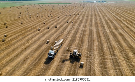 8 307 imágenes de Loading crops Imágenes fotos y vectores de stock