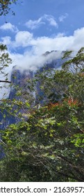 Angel Falls Kerepakupai Meru Tallest Waterfall Stock Photo