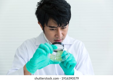 Asian Male Scientists Holding Pane Looking Stock Photo Shutterstock