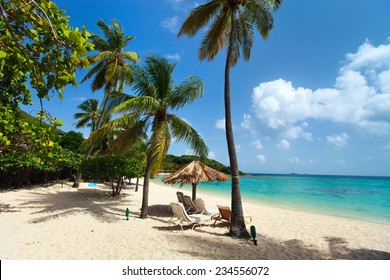 Dream Beach Palm Trees On White Stock Photo Edit Now 1930899347