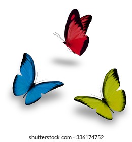 Beautiful Yellow Red Blue Butterfly Flying Stock Photo