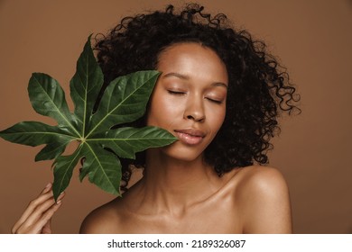 Black Curly Shirtless Woman Posing Green Stock Photo 2189326087