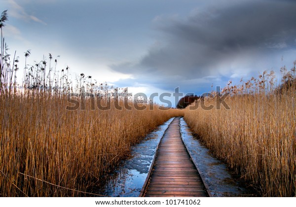 Boardwalk Path Through Wetlands Area Early Stock Photo