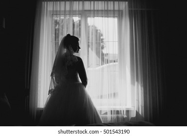 Sexy Nude Woman On Window库存照片482516143 Shutterstock