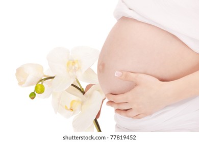 Pregnant Naked Woman Belly Pregnancy