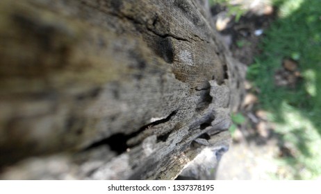 Broken Wood Texture Stock Photo Shutterstock