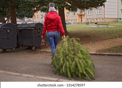 Naked Woman Christmas Tree Images Stock Photos Vectors