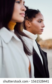 Two Sexy Women Hugging Stock Photo Edit Now