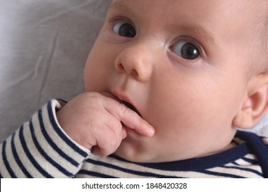 Closeup Baby Who Puts His Hand Stock Photo Edit Now 1848420328