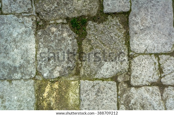 Cobblestone Grass Texture Stone Path Road Stock Photo 388709212