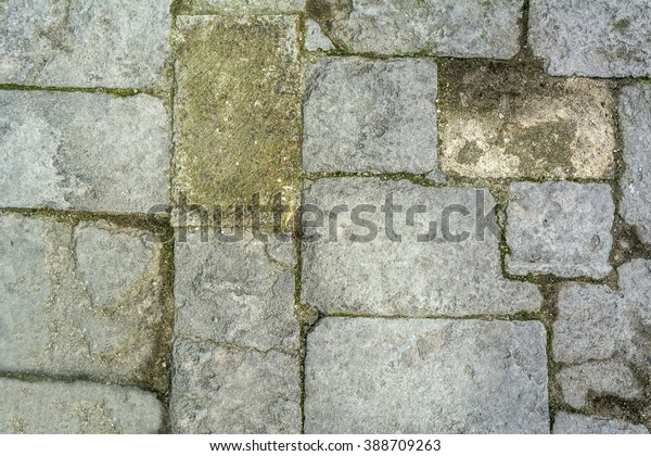 Cobblestone Grass Texture Stone Path Road Stock Photo