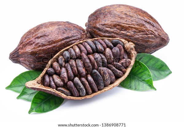 Cocoa Pods Cocoa Beans Chocolate Basis Stock Foto Rediger Nu