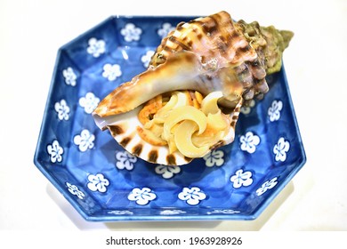 717 Japanese Conch Shell Images Stock Photos Vectors Shutterstock