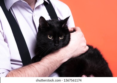 Man Holding Black Cat Images Stock Photos Vectors Shutterstock