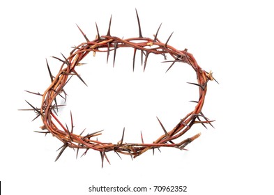 Crown Made Thorns Isolated On White Stock Photo 70962352 Shutterstock