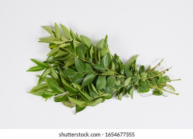 Curry Leaves Images Stock Photos Vectors Shutterstock