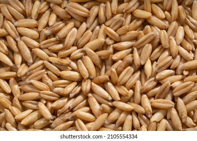 Naked Seeds Images Stock Photos Vectors Shutterstock