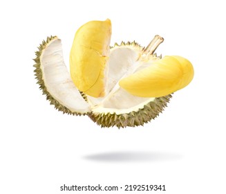 Durian Pulp Levitate Isolated On White Stock Photo