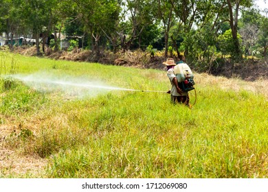 Problem Using Insecticides Herbicides Agriculture Still Stock Photo