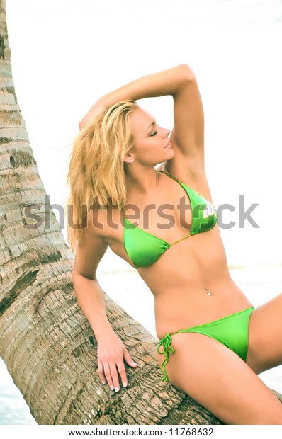 Female Bikini Model Sitting On Palm Stock Photo Edit Now 11768632