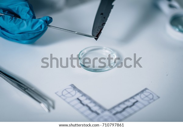 Forensic Science Lab Forensic Scientist Photographing Stock Photo