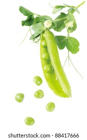 Fresh Green Pea Pod Isolated On Stock Photo 88417666 Shutterstock