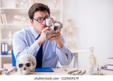 Funny Crazy Professor Studying Human Skeleton Stock Photo Edit Now