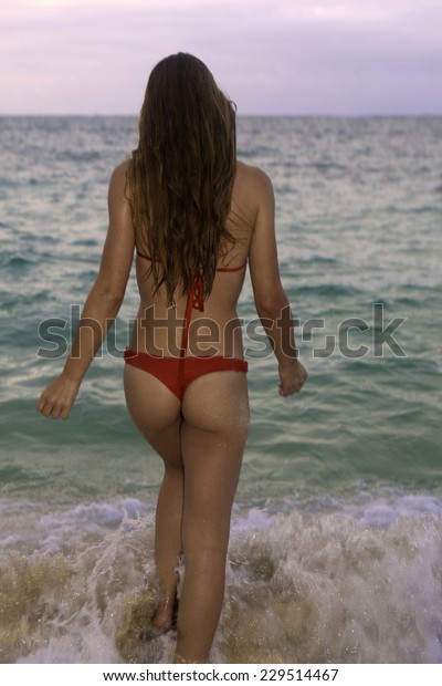 Girl Bikini On Hawaii Beach Stock Photo 229514467 Shutterstock