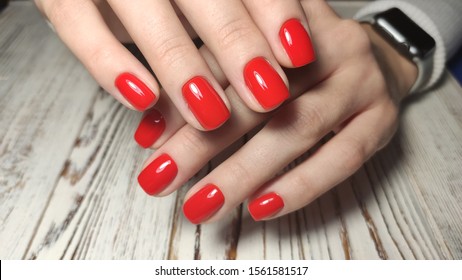 962 Tiger Nails Stock Photos Images Photography Shutterstock