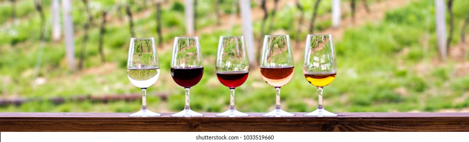 Row Glasses Different Wines On Grey Stock Photo Edit Now 1410629393