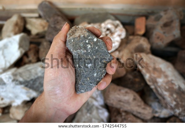 Hand Holding Andesite Stone Andesite Extrusive Stock Photo Edit Now