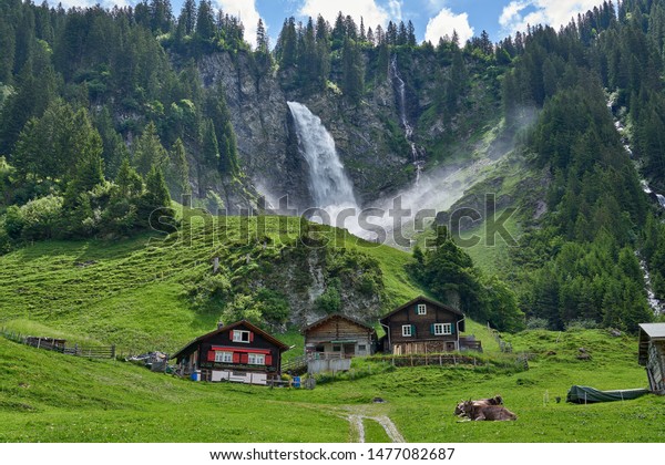 Heaven On Earth Landscape Panorama Cows Stock Photo Edit Now