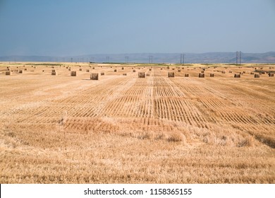 Huge Field Hay Bales Idaho Stock Photo Shutterstock