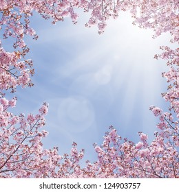 Kamisato Ayaka Lumine Beautiful Nature Cherry Blossom Tree Genshin