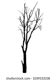 Isolated Tree Without Leaf On White Stock Photo 1039533238 Shutterstock