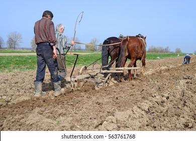 Kalush Ukraine April 6 Planting Potatoes Stock Photo 577172152