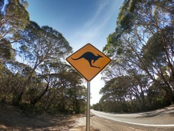 Roadsign Antelope Crossing In Africa A Transportation Photo By Phodo