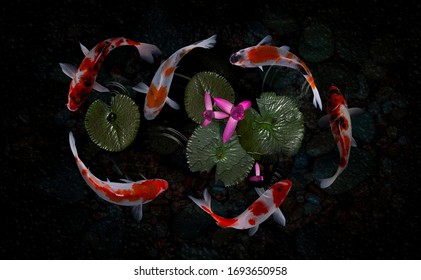 Koi Fish Pond Lotus Flowers Stock Photo Edit Now 1693650928