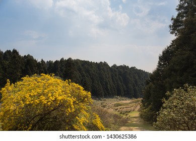 La Marquesa National Park Official Name Stock Photo