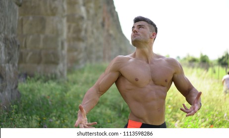 Man Naked Torso Stock Photo Shutterstock