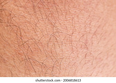 Hairy Female Legs Stock Photos Images Photography Shutterstock