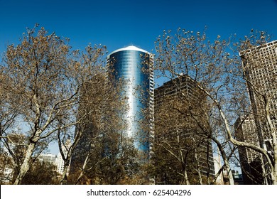 Naked Autumn Trees Bettery Park Manhattan Stock Photo Edit Now 625404296