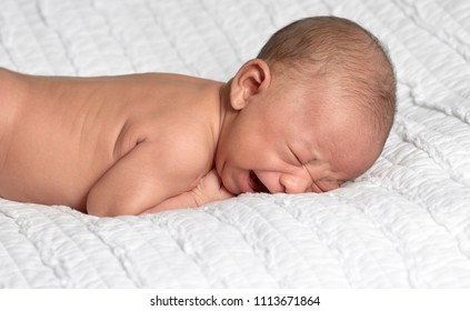 Naked Baby Boy Crying Face DownẢnh có sẵn1113671864 Shutterstock